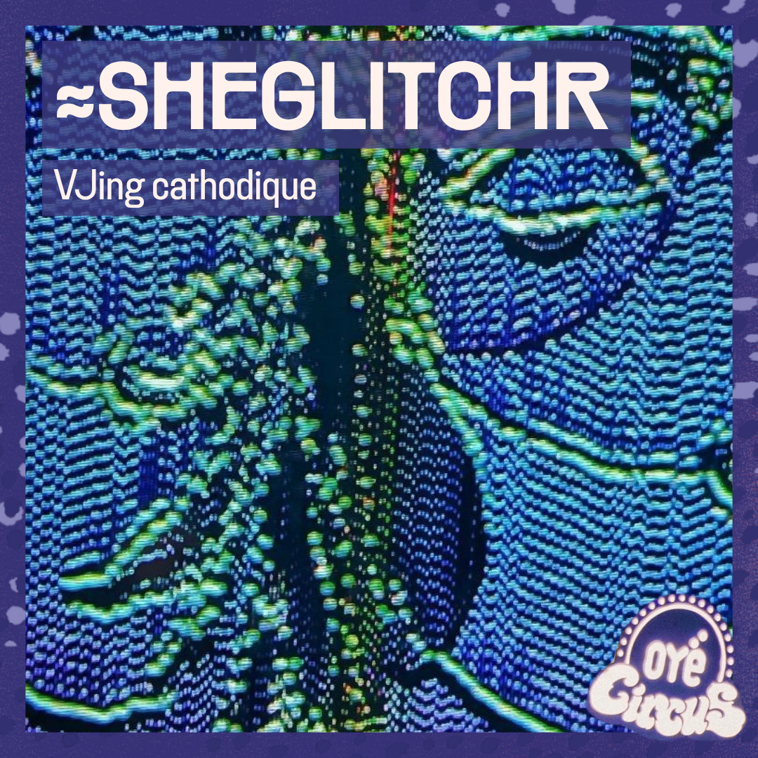 ≈sheglitchr