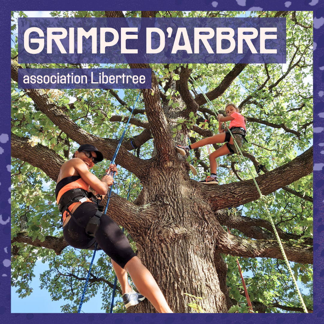 grimpe d'arbre