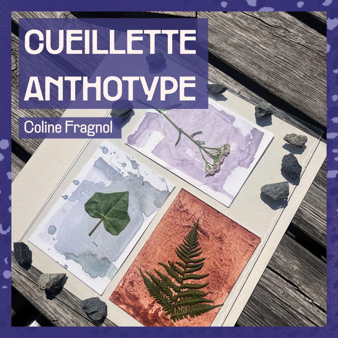 cueillette anthotype